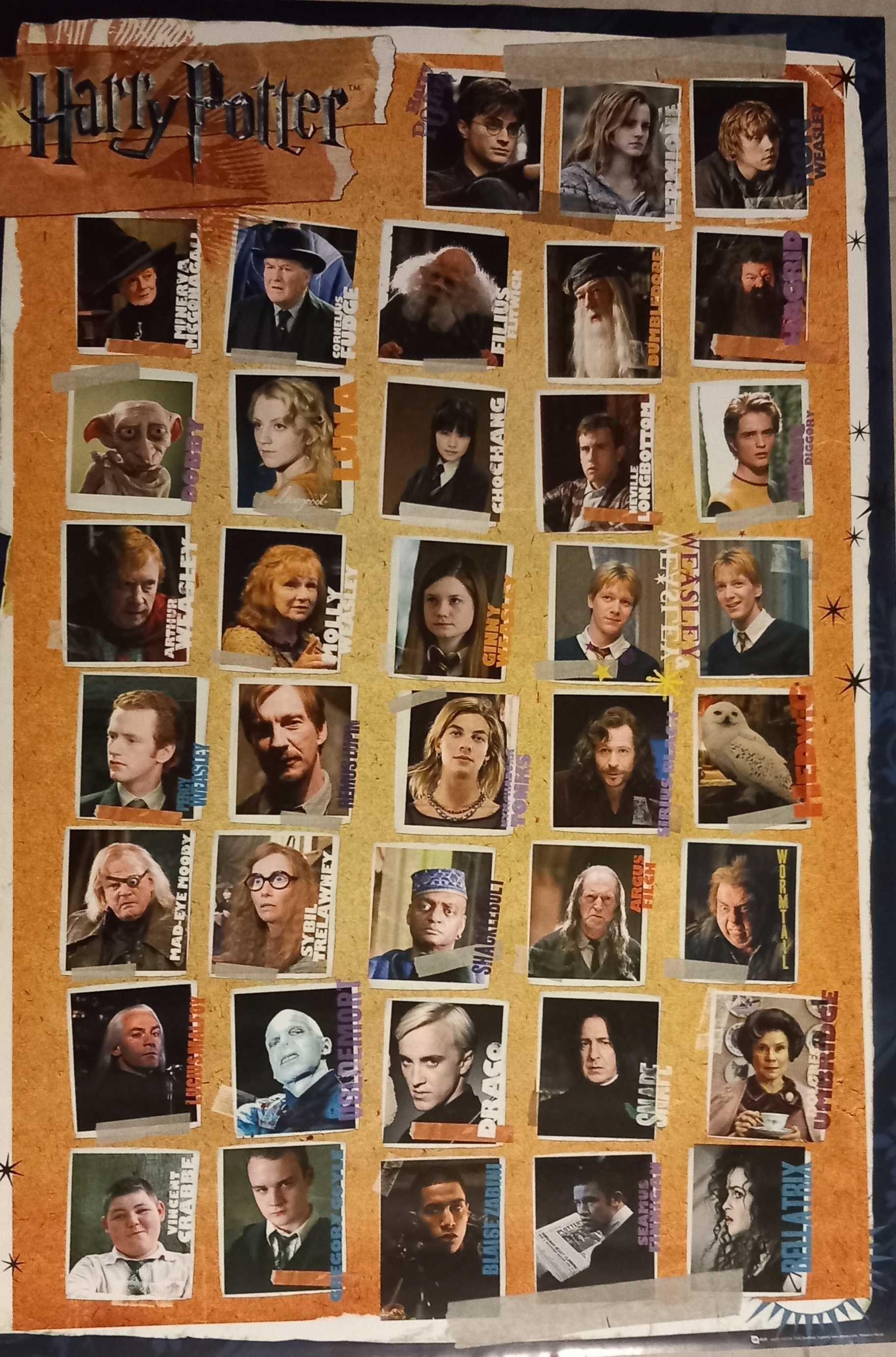 Plakat Harry Potter 7 Characters 61x91,5 cm