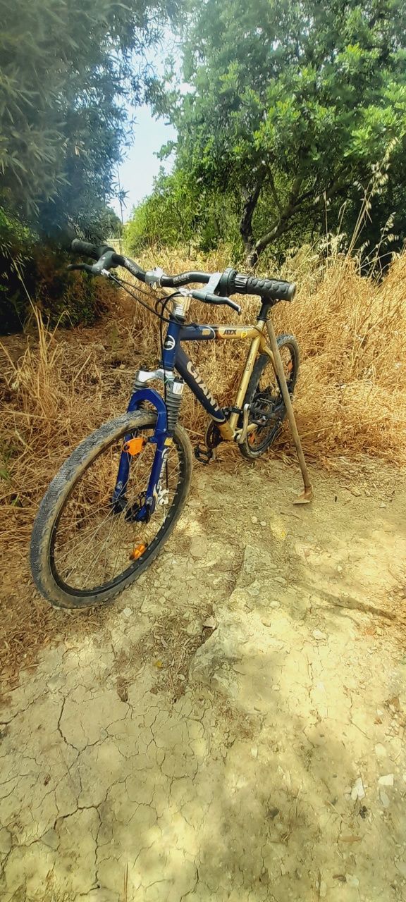 Bicicleta giant quadro alumínio