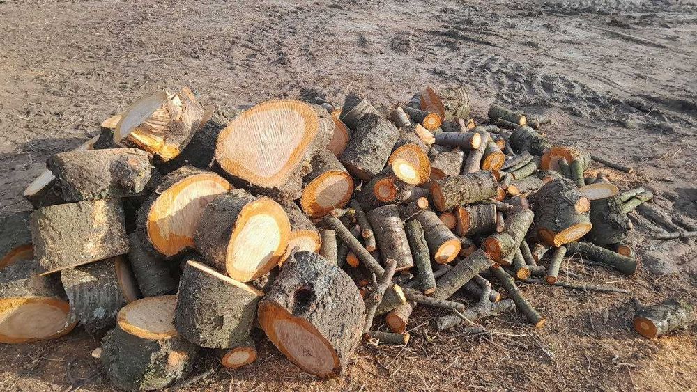 Продам дрова чурки черешня