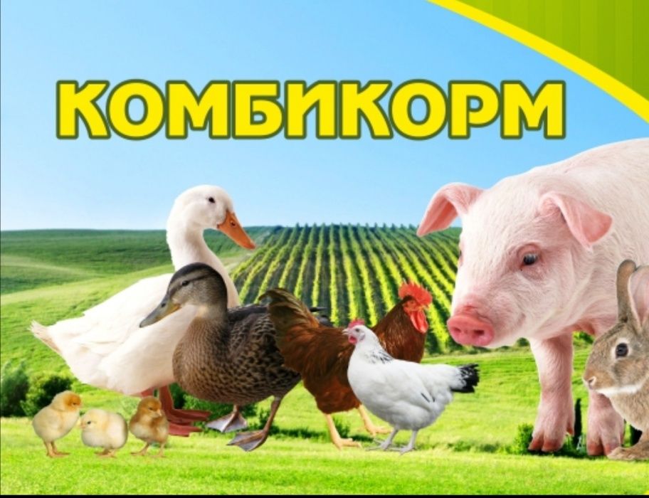 Комбикорма и добавки