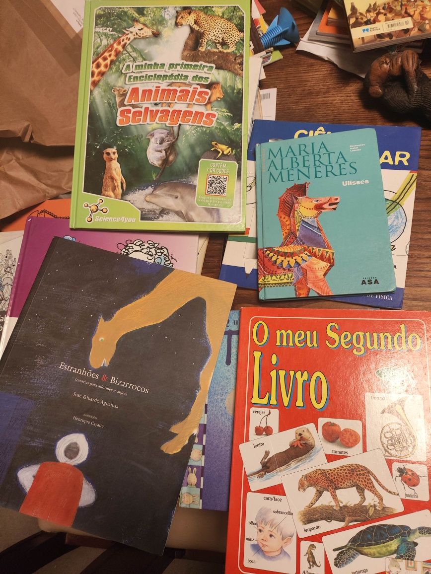 Vários Livros infantis e pedagógicos Estrumpfes a Estrumpfina