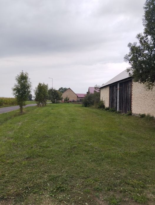 Nieruchomość z potencjałem Duża działka  Dom z Budynkami Rośle!