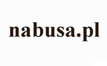 www nabusa.pl domena na sprzedaz nabusa.pl sprzedam domene nabusa pl