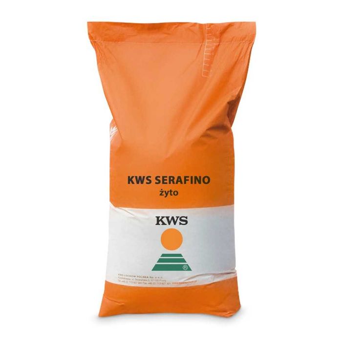 KWS Gilmor Fidalgor Serafino2024 Żyto hybrydowe