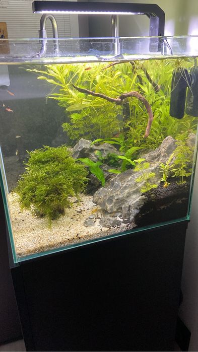 Ofereço Aquatlantis Nano Cube com vivos