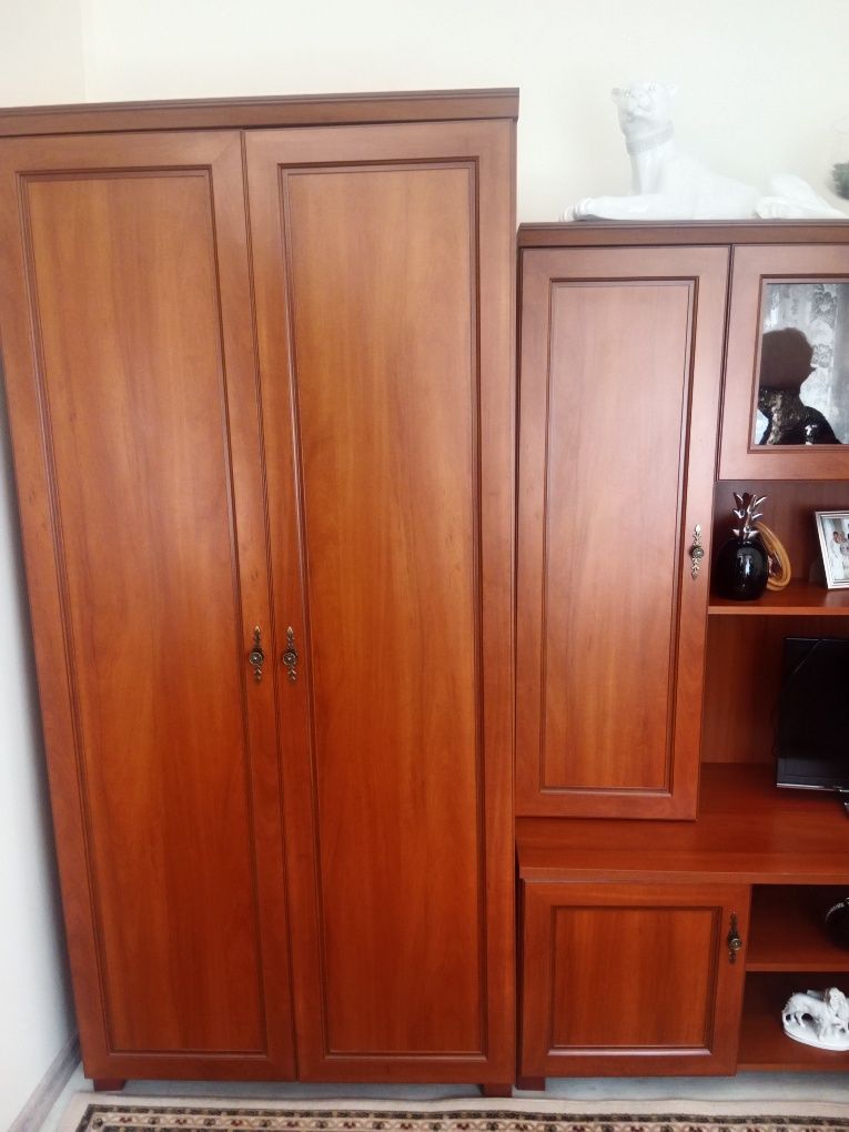 Meblościanka firmy Bodzio