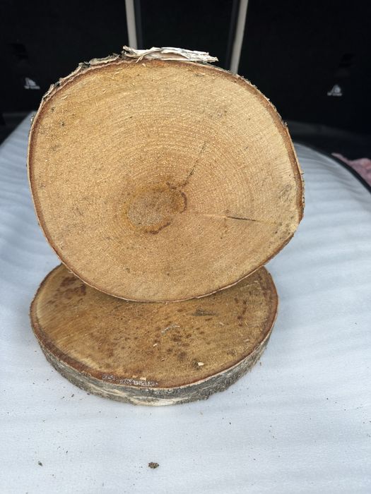 Plastry brzozowe , podstawki , podkładki drewniane