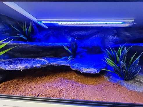 Terrarium tropikalne nr633 100/40/40 dla węża boa pyton NA ZAMÓWIENIE
