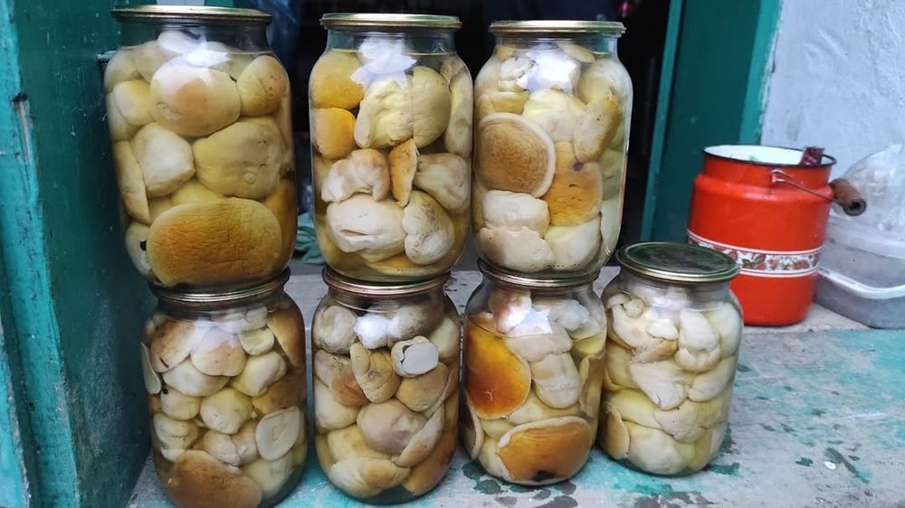 Гриби білі мариновані