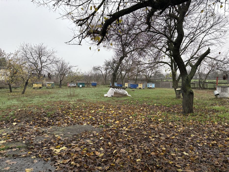 Продам газифицированный дом в с. Знаменовка Днепропетровская обл.