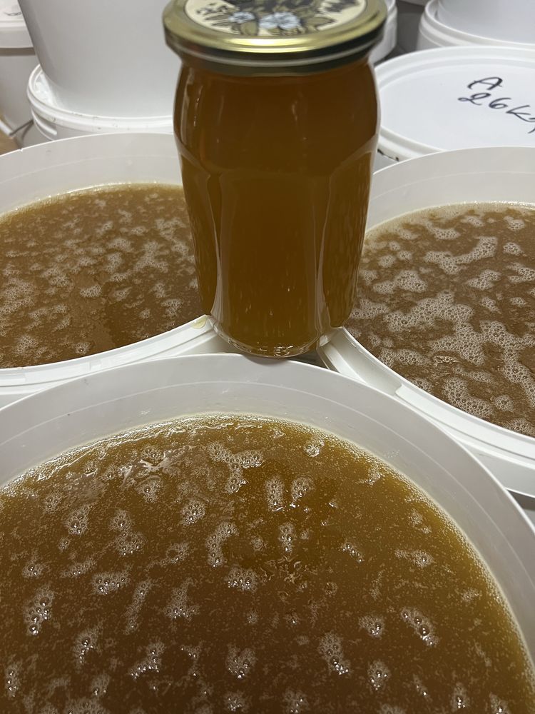 miod, miod rzepakowy naturalny pszczeli pasieki rodziny matki pszczele