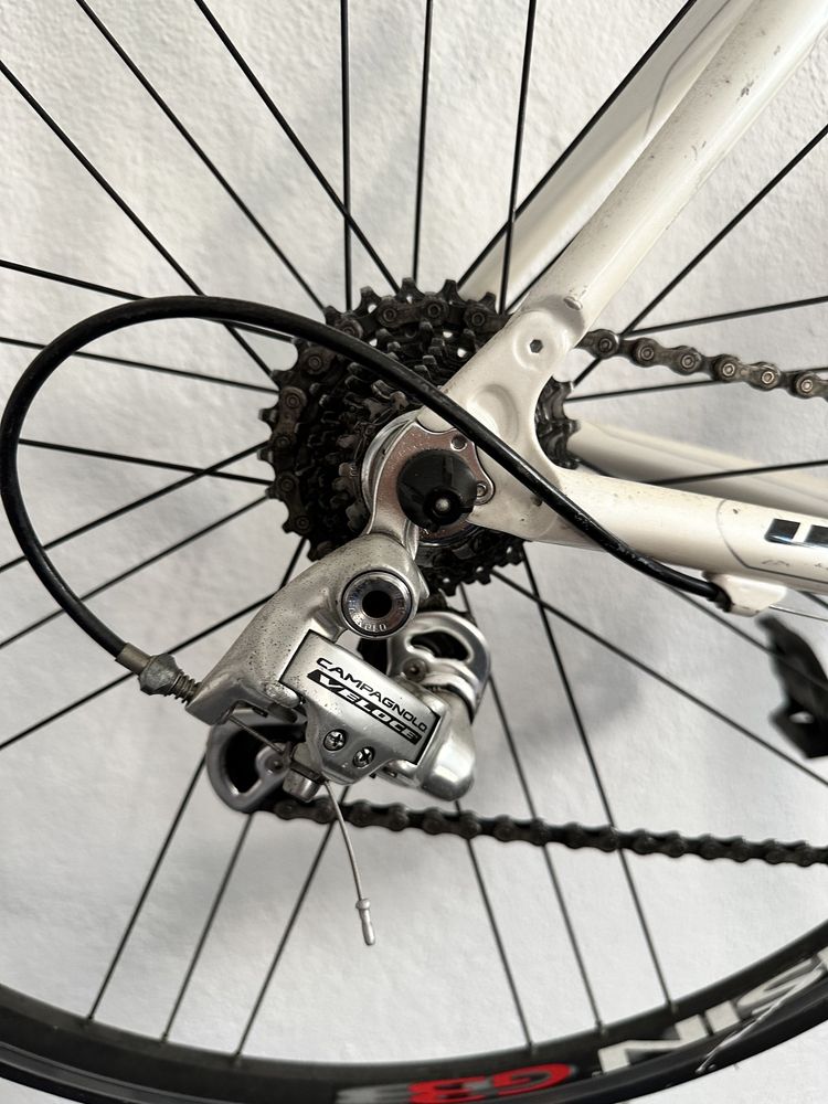 OPORTUNIDADE Vendo Willier Triestina de Carbono - race division