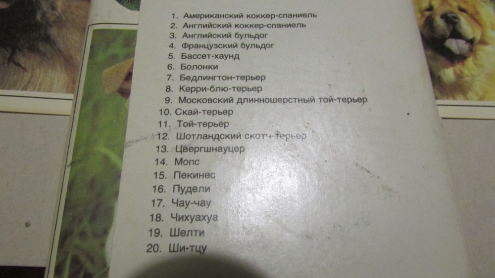 Откритки с собаками, комплект.20 штук.