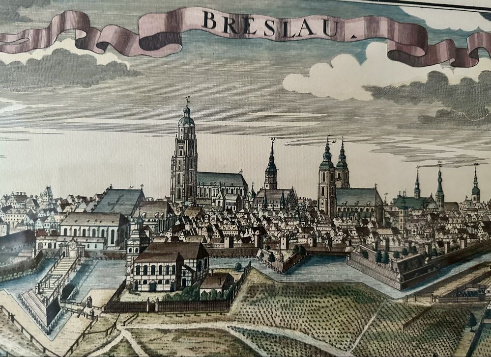 Panorama Breslau Wrocław F.B.Werner akwaforta