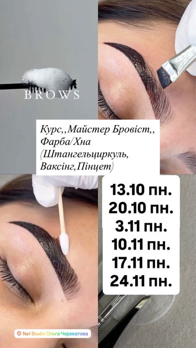 Курси,,Майстер Бровіст,,