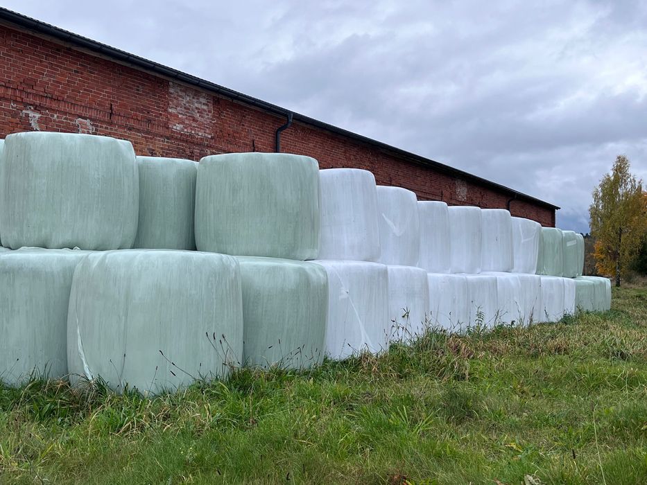 Sprzedam baloty sianokiszonki – tegoroczne