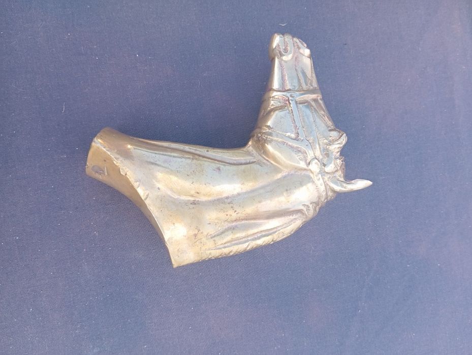 cabeça de cavalo