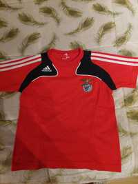 T-shirt benfica 4/5 anos