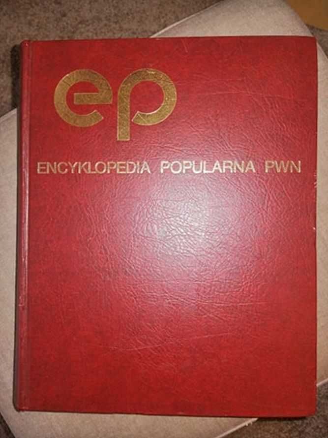Encyklopedia PWN stan bdb