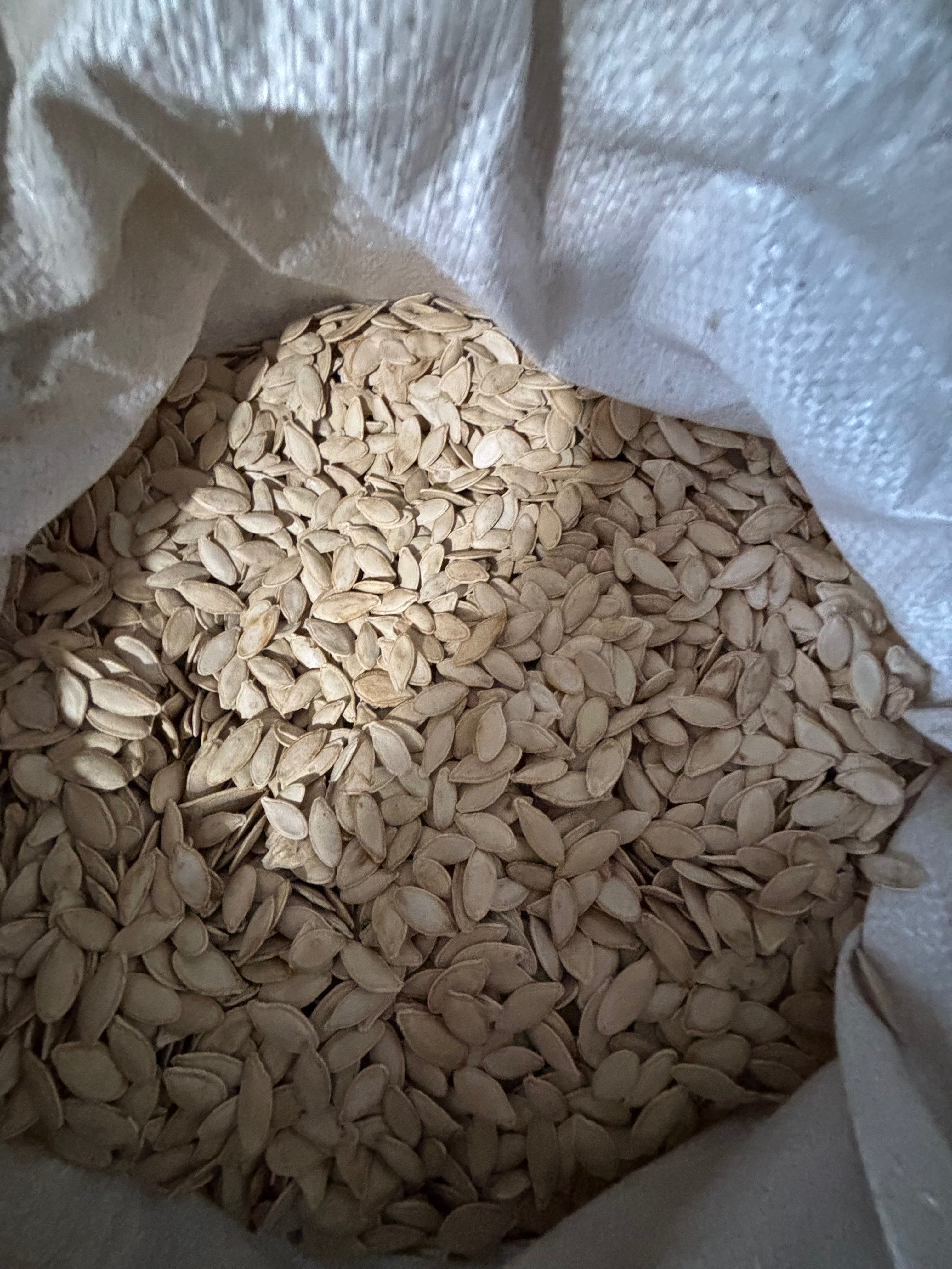 Продам посів мат гарбуза Турка(сорт)
