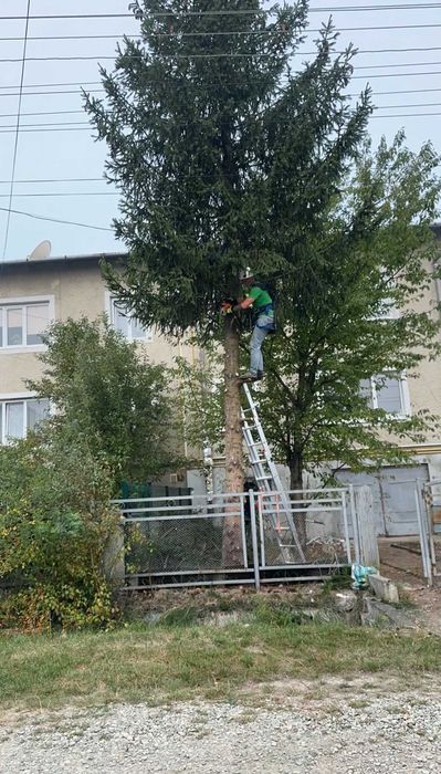 Зрізання дерев будь-якої складності