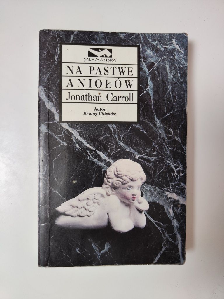 Na pastwę aniołów - Jonathan Carroll "