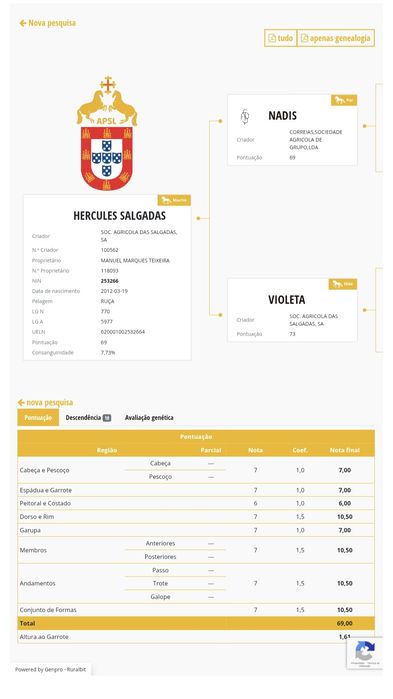 Vendo poldra PSL preta