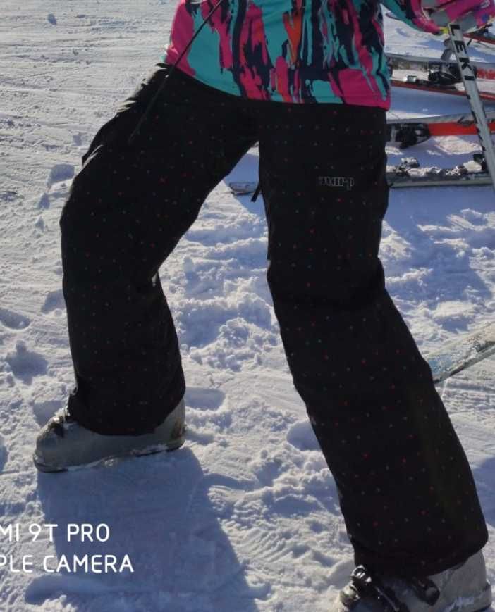 Жіночі термо штани лижні/сноуборд Warp (Швеція)