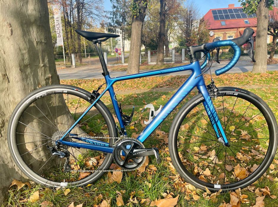 Canyon Endurace CF WMN 8.0 (2017r) rozm S