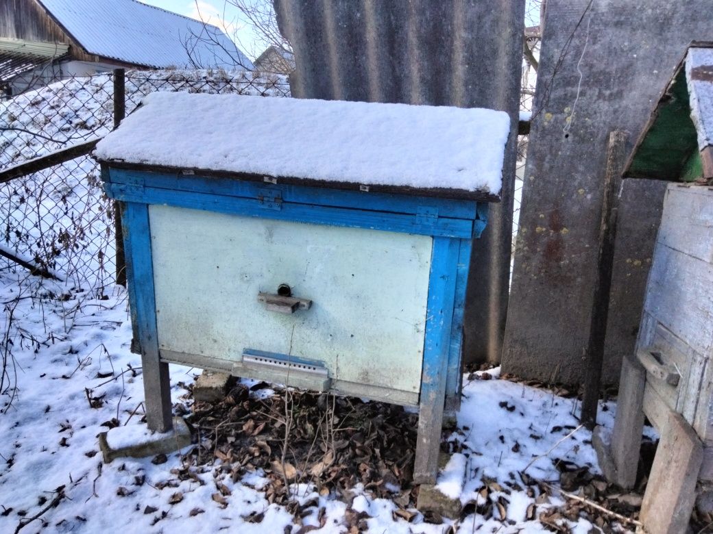 Продам вулики різні