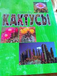 Коллекция книг все про кактусов