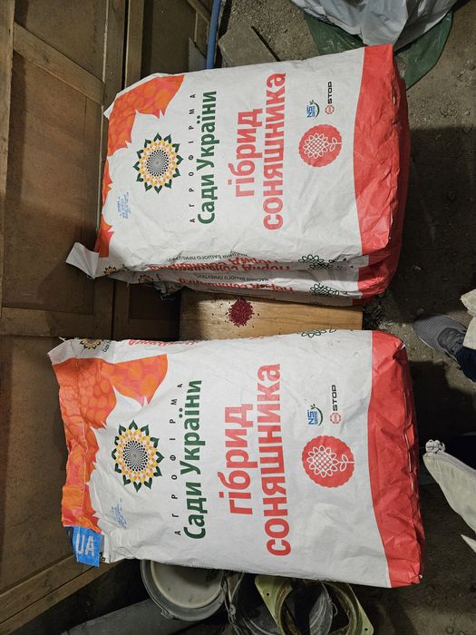 Посівне насіння соняшника Сади України