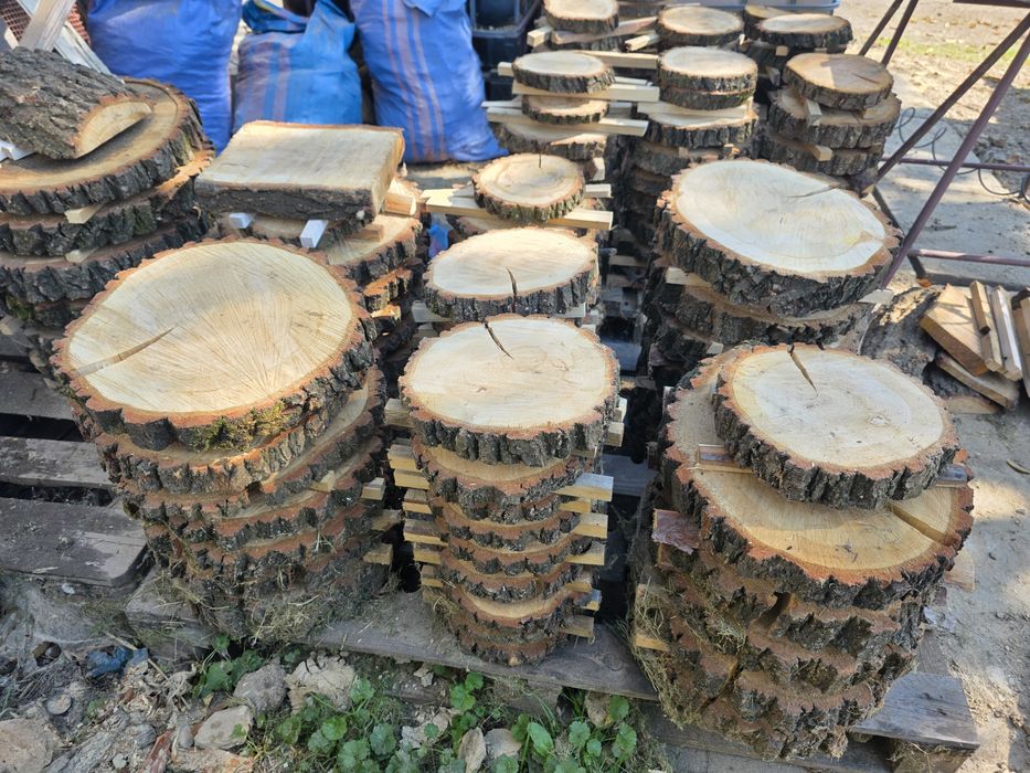 Plastry drewniane dębowe