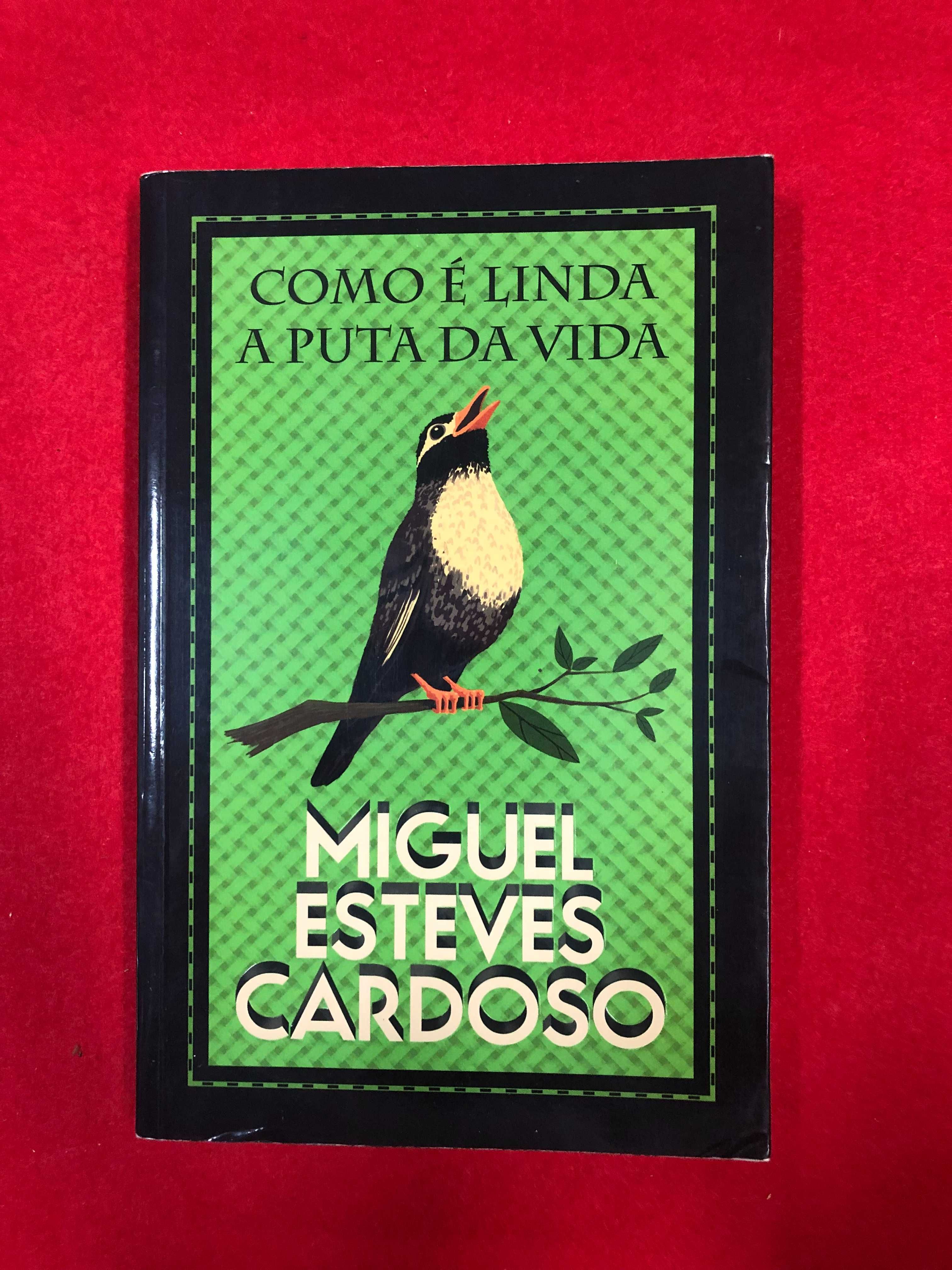 Como é linda a puta da vida - Miguel Esteves Cardoso