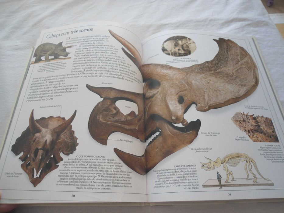 Enciclopédia Virtual Verbo nº 9 -Os Dinossauros