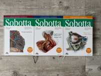 Anatomia SOBOTTA - TOM 1-3