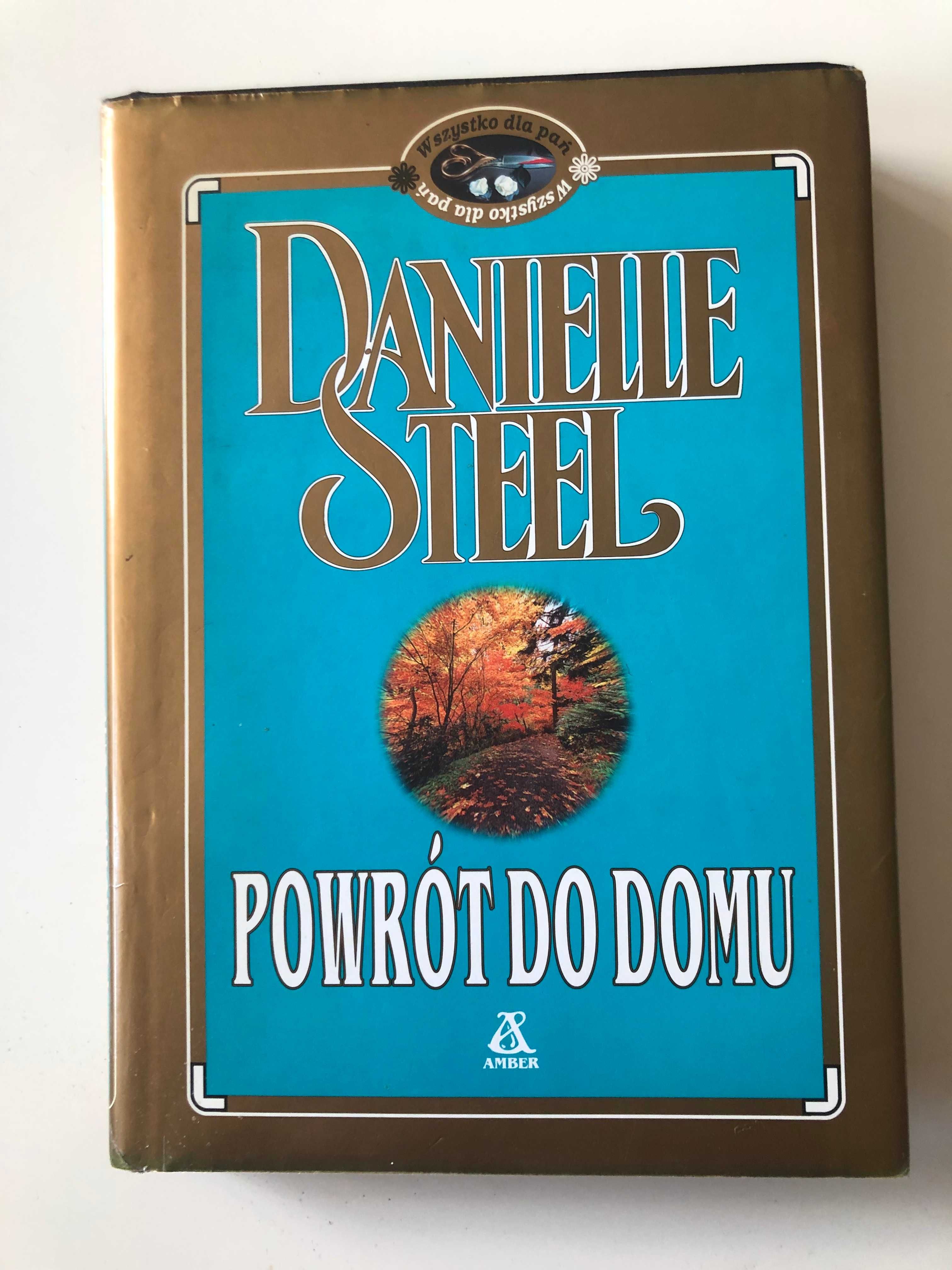 Powrót do domu (Steel D.)