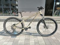 Rower MTB CTM ZEPHYR roz L 29" piaskowy