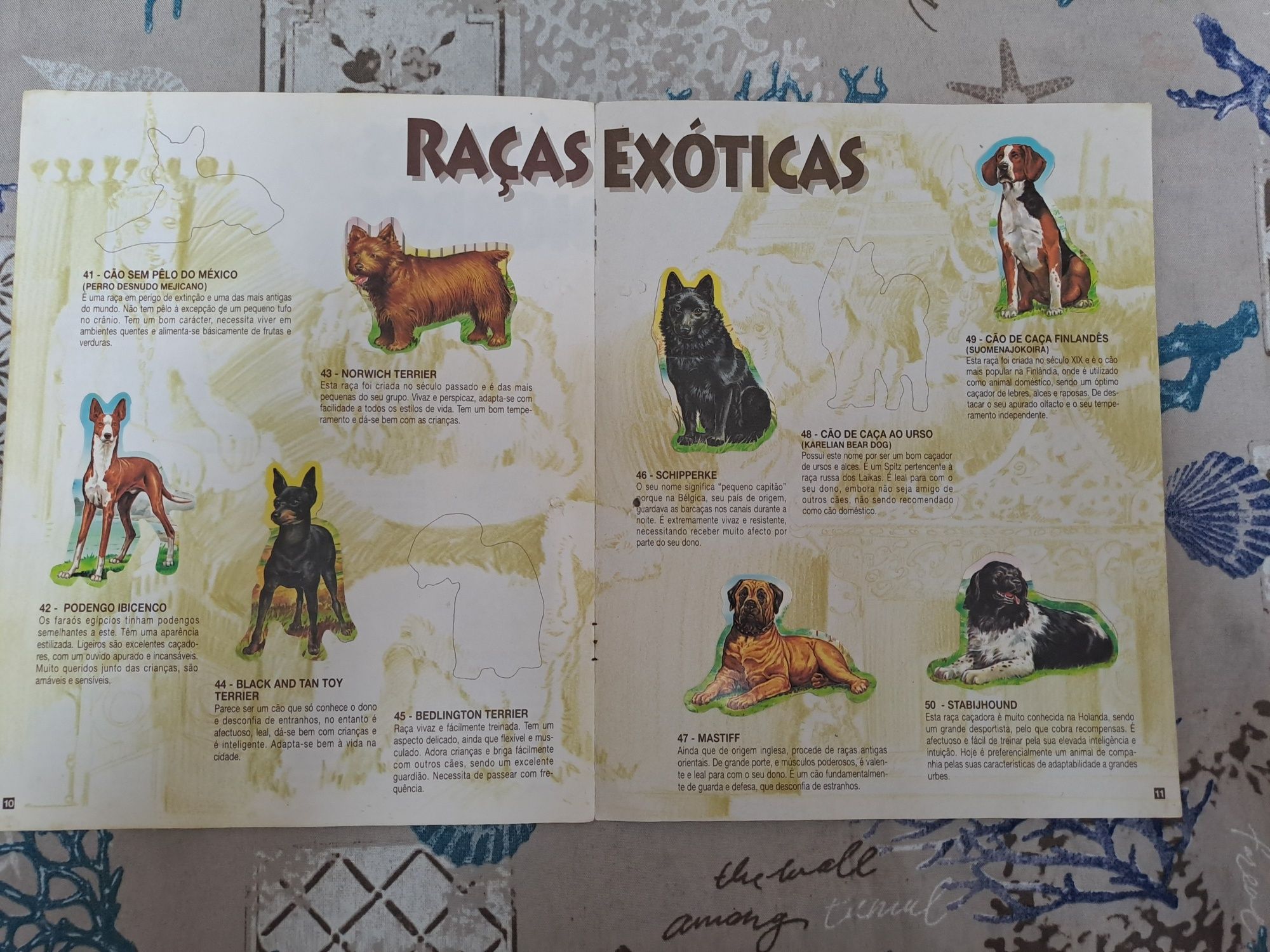 2° edição cardeneta o teu melhor amigo