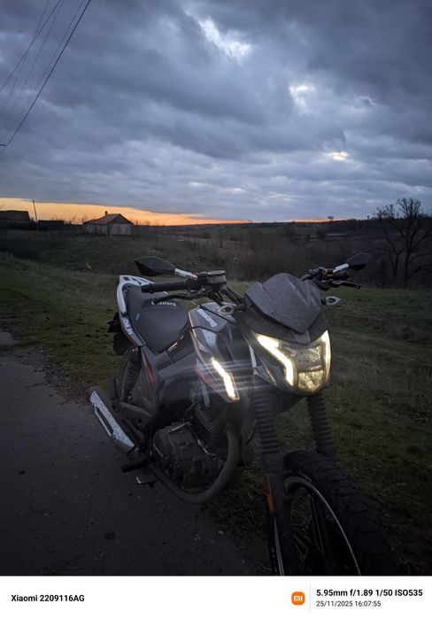 Мустанг фортуна 200