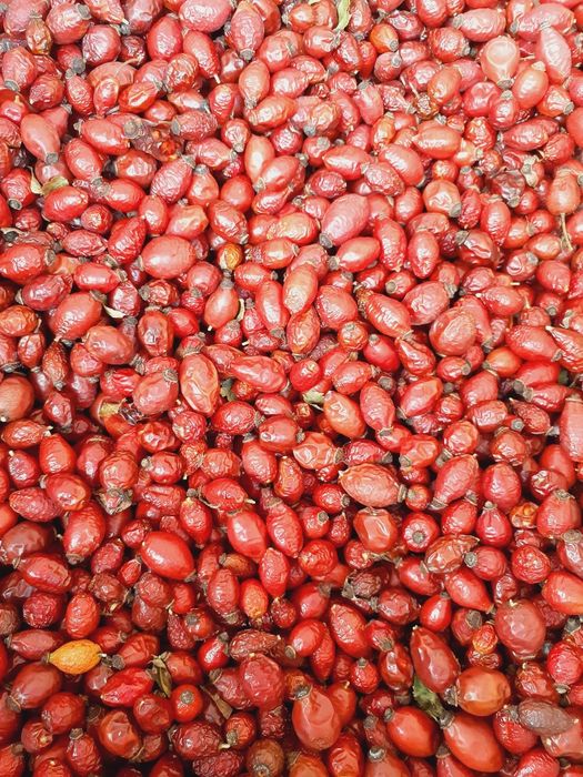 Шипшина засушена  (шиповник)