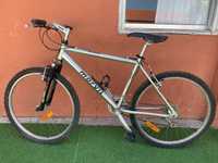 Bicicleta adulto