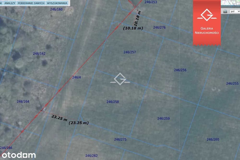 blisko lasy i jeziora