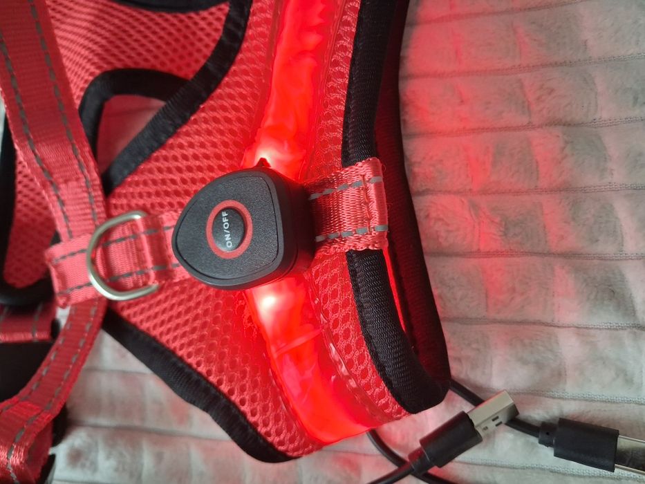 Szelki LED dla psa + smycz roz. M