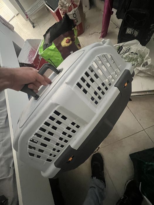 Transporte de gato