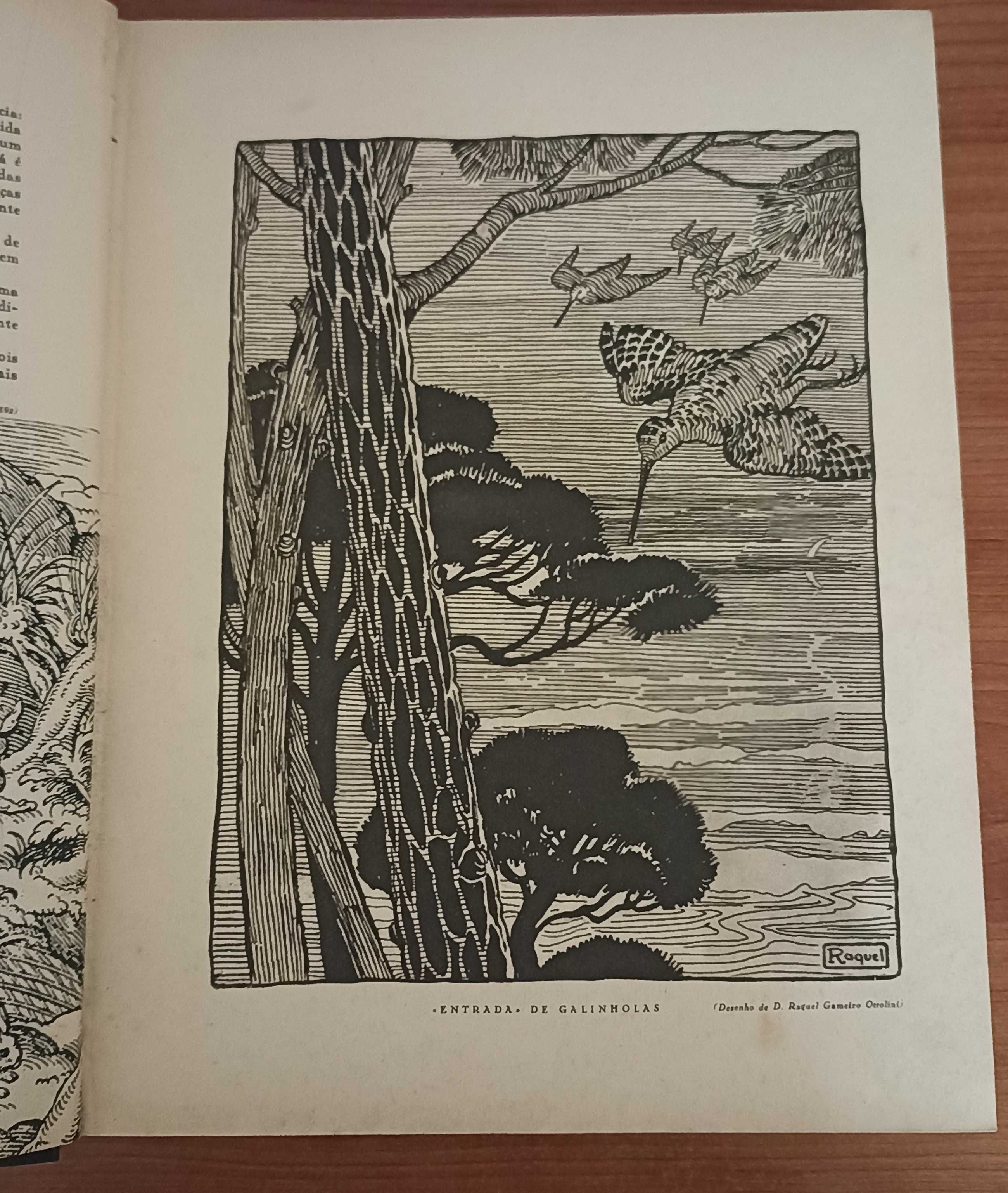 A Caça no Império Português Volume 2