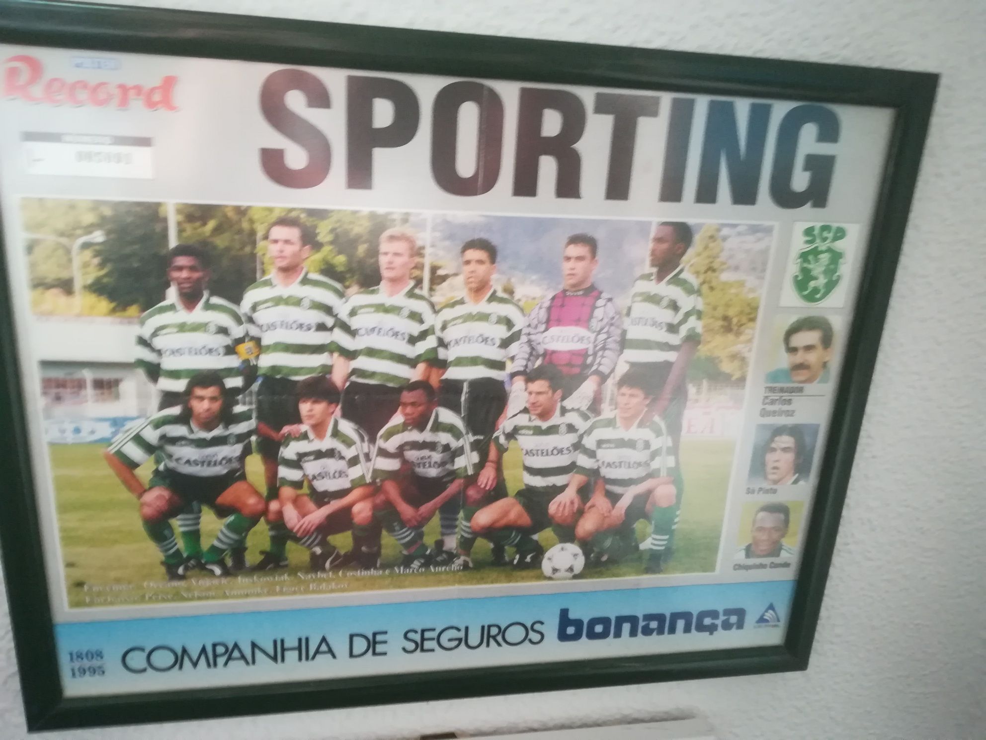 Diversos quadros Sporting clube de Portugal