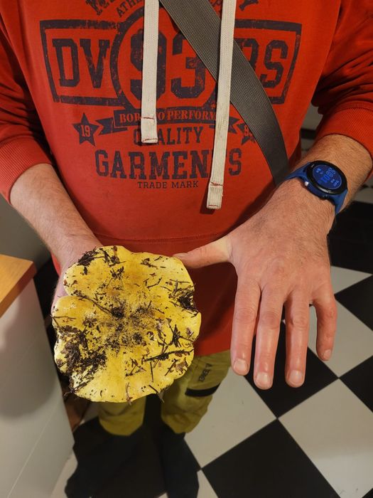 Drzwi wewnętrzne lewe 80cm NOWE