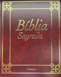 Bíblia Sagrada [15 Volumes]