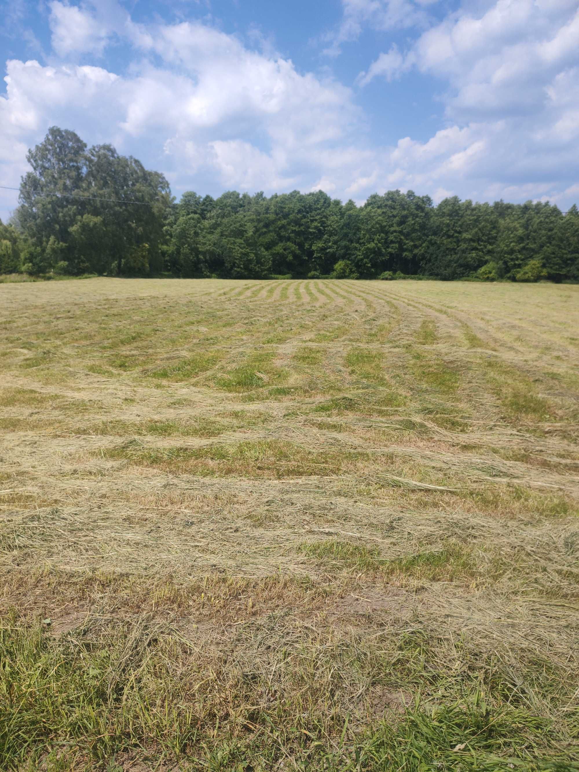Działka nad jeziorem Jeziorak 30 arów